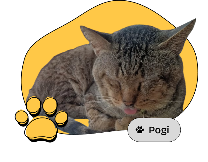 sleeping-pogi-with-name-tag